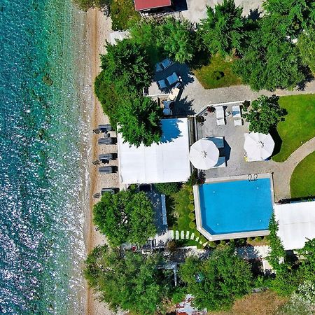Acrotel Athena Villa Элия Экстерьер фото